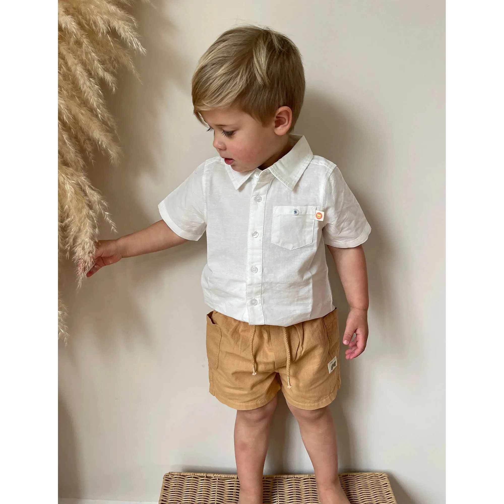 Linen Blend Shorts - Argan