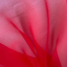 Semi-Sheer Maraschino Red Silk Organza (Made in Italy)